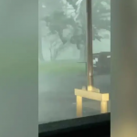 A Fragile Nation: Storm Chaos Exposes America’s Deepening Infrastructure and Crisis Management Failures