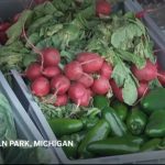 America’s Food Safety Crisis Deepens: Deadly Parasite Outbreak Exposes Systemic Failures