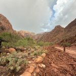 America’s Grand Canyon Crisis: A National Treasure Exposed by Infrastructure Failures and Disaster Unpreparedness